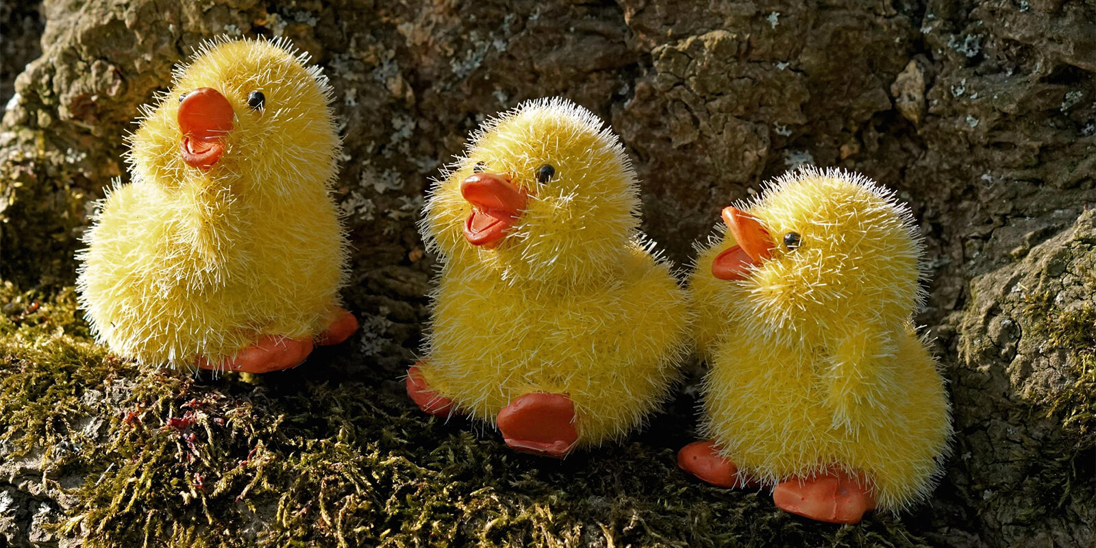 Borstvoeding geven aan een tweeling of een meerling